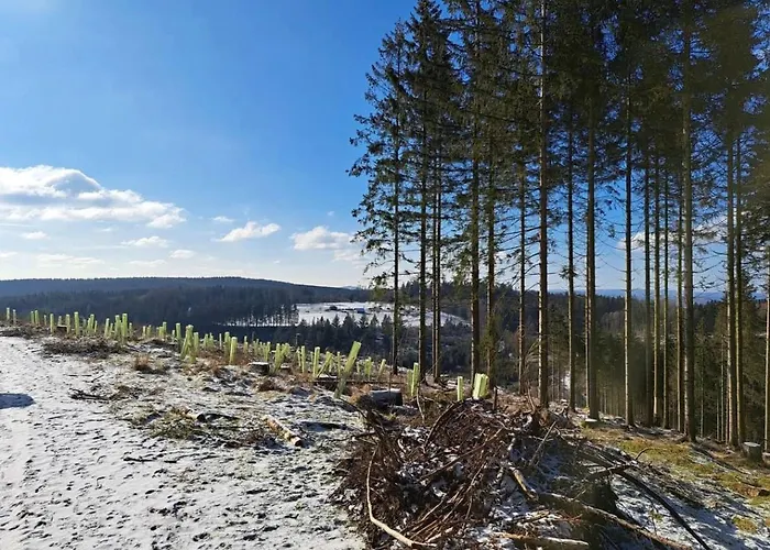 Lejlighed Bellagast Hilchenbach